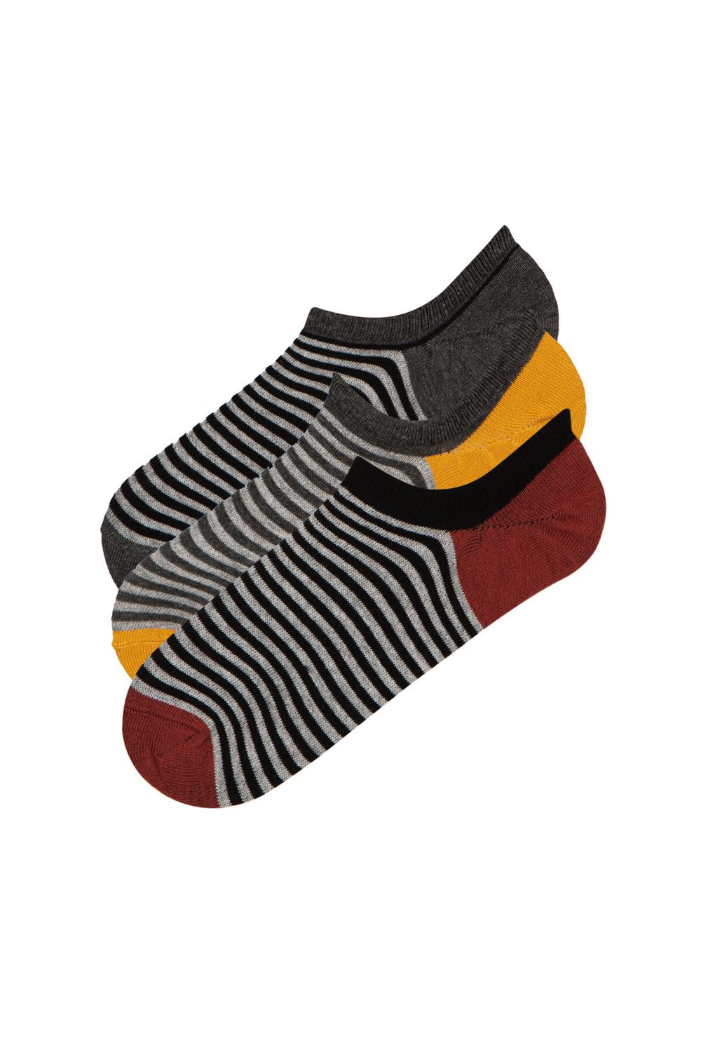 Black E Colorful Line 3In1 Liner Socks