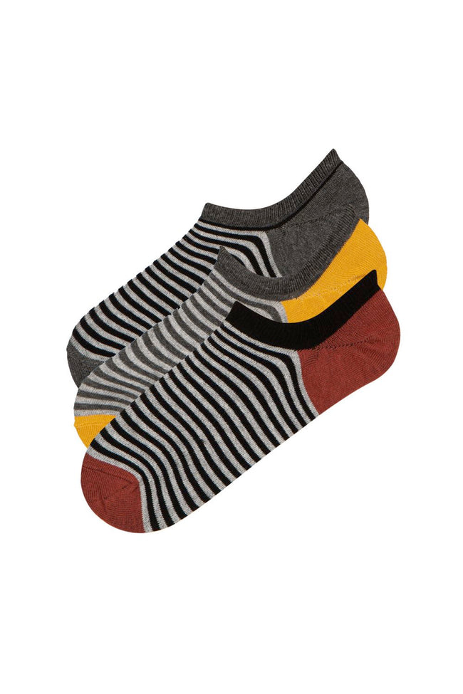 Black E Colorful Line 3In1 Liner Socks Hover Image