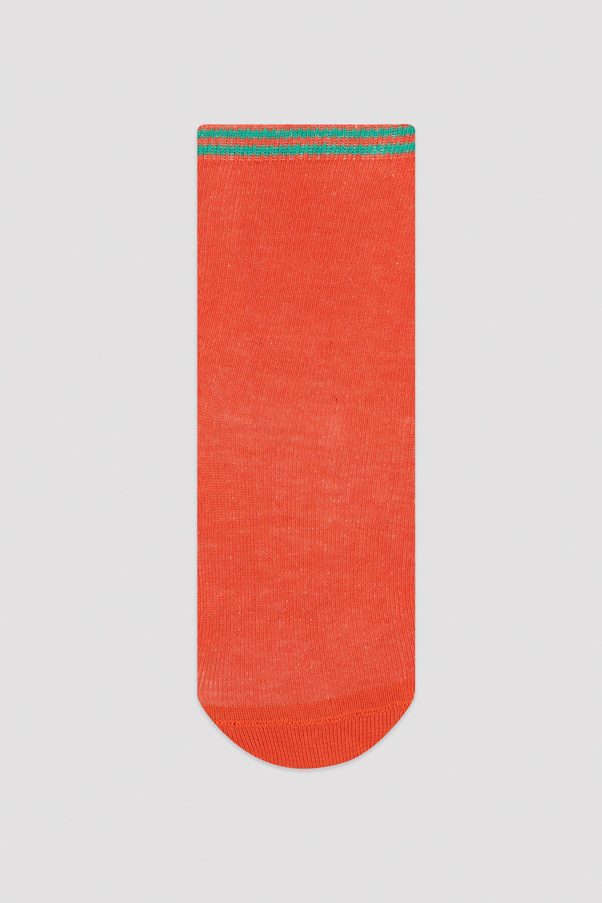 Multi Colour Boys Safari 4In1 Package Soket Socks