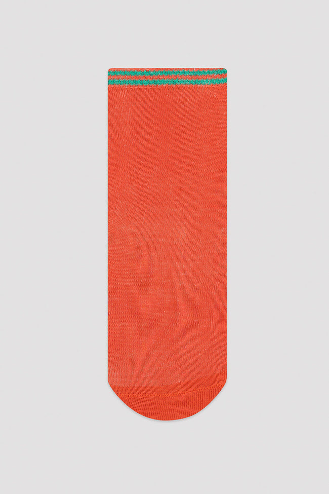 Multi Colour Boys Safari 4In1 Package Soket Socks Main Image