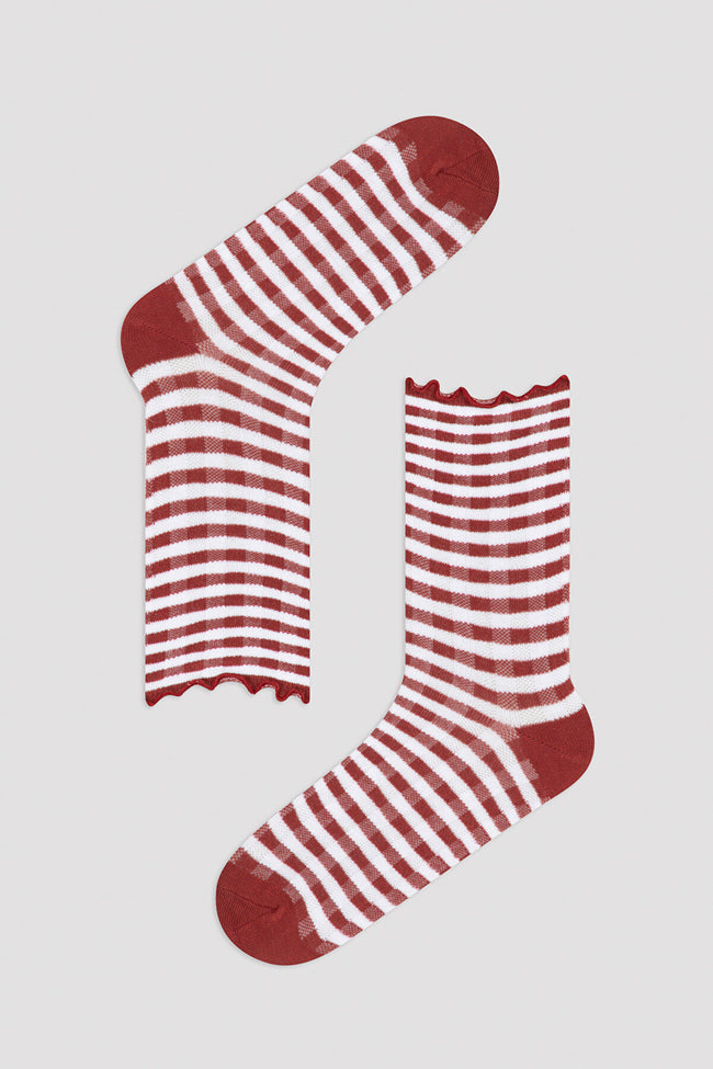 Multi Colour Line 2In1 Soket Socks Main Image