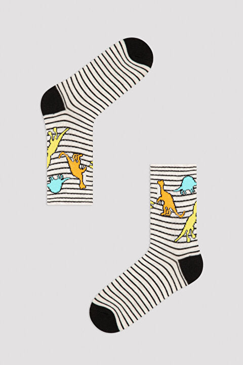 Boys Dino Family Socks Main Image