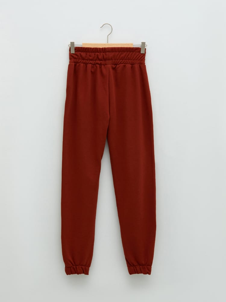 Bright Brown Colored Trousers For Ladies