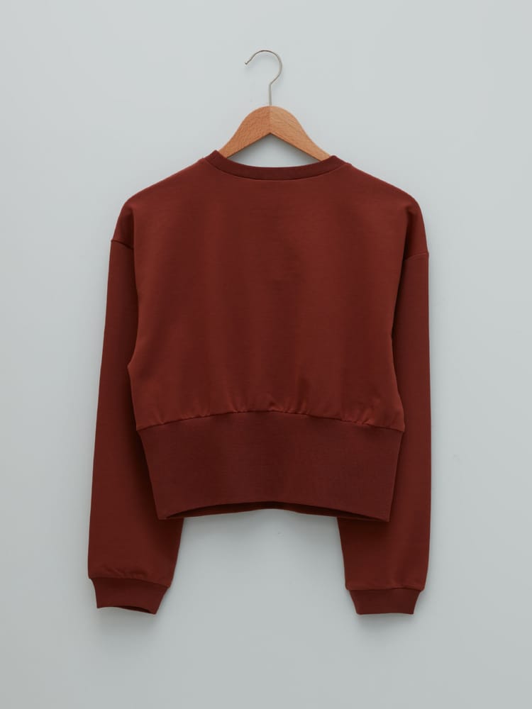 Bright Brown Colored Sweatshirt For Ladies