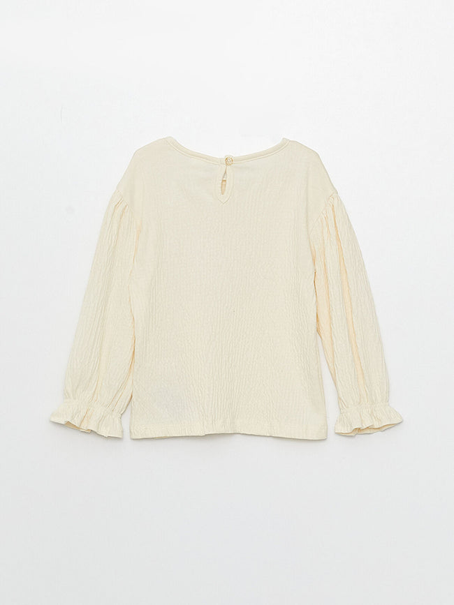 Crew Neck Long Sleeve Embroidery Detailed Baby Girl T-Shirt Main Image