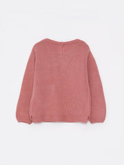Crew Neck Long Sleeve Basic Baby Girls Knitwear Sweater